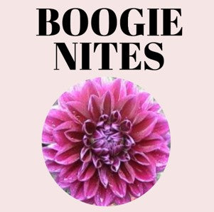 Boogie Nites 10-Tuber Bundle