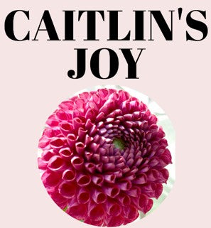 Caitlin's Joy 10-Tuber Bundle