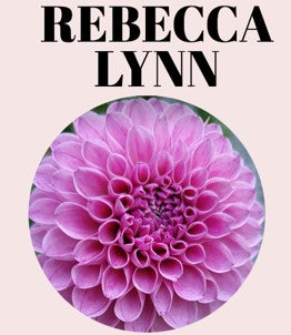 Rebecca Lynn 10-Tuber Bundle